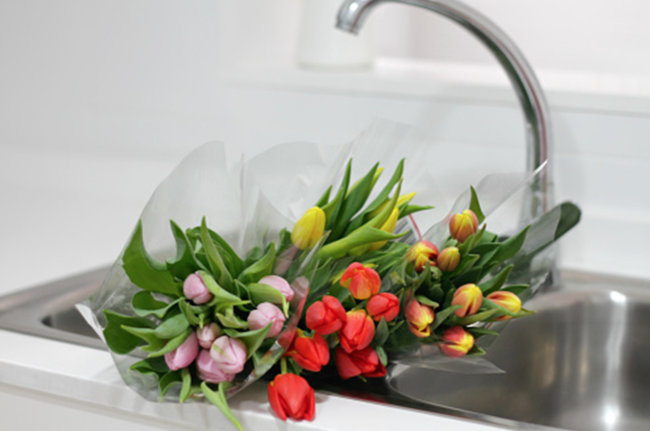 always be learning-D+CO